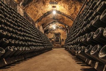 Cavas Freixenet Wine Tour from Mexico City
