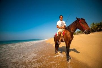 Ixtapa Shore Excursion: Horseback Riding on Zihuatanejo Bay