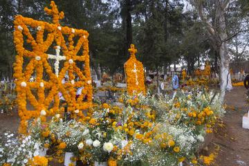 Mixquic Day of the Dead Experience: Day Trip from Mexico City