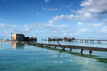 Full Day Guided Abrolhos Fly and Flipper Tour from Geraldton