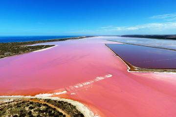 Pink Lake Aerial Flyover from Geraldton