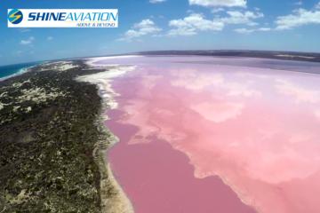 Pink Lake and Abrolhos Full Day Fly and Flipper