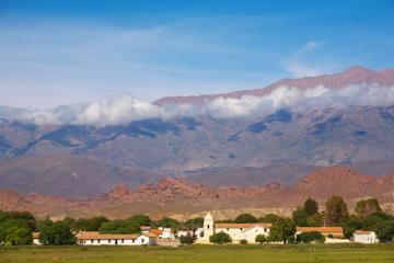 Calchaquí Valley Scenic Drive and Day Trip to Cachi from Salta