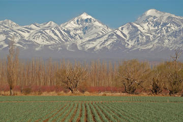 Mendoza City Tour
