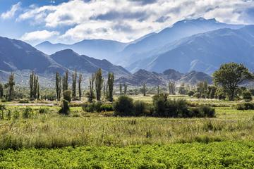 Salta Super Saver: Best of Calchaquí Valley Including Cachi and Cafayate Winery Day Trips