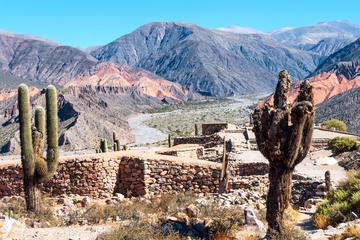 Salta Super Saver: Calchaqui Valley and Cafayate Winery plus Humahuaca Valley Day Trip