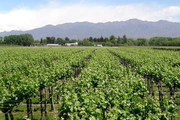 South Wine Route