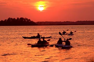 Day Trip Wilmington's Sunset Kayaking Adventure near Wilmington, North Carolina 