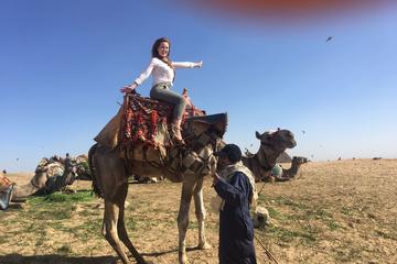 Private Camel Ride Around the Pyramids Area