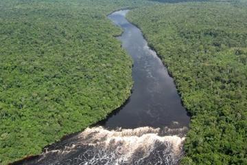 3-Day Iquitos Amazon Jungle Adventure at Heliconia Lodge