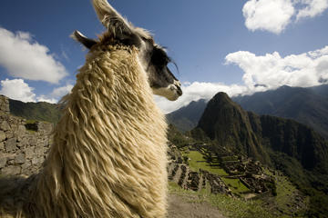 6 - Day Exploring Cusco