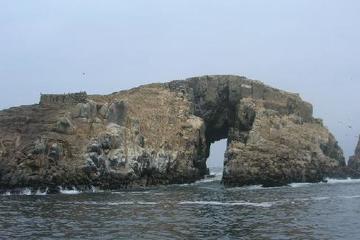 Islands of Lima Sightseeing Cruise