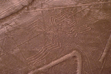 Nazca Lines Air Tour and Ballestas Islands Full-Day Trip from Lima