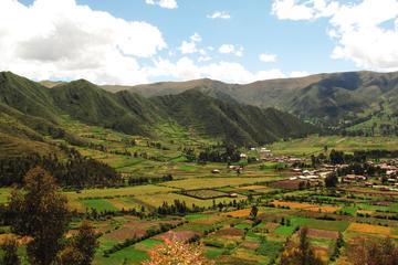 One-Way Shared Transfer from Sacred Valley Hotels to Ollantaytambo Train Station