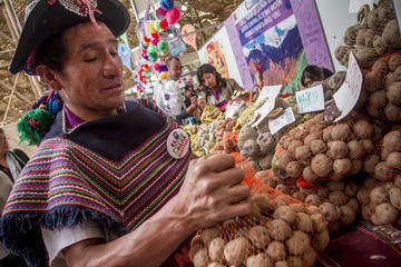 Peruvian Home Cooking