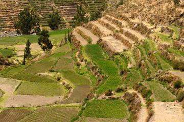 Private Tour: Arequipa Countryside Tour Including Sabandia Mill and Founder's Mansion