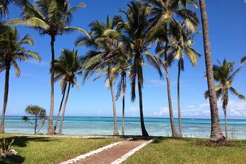 East Africa and Zanzibar Safaris