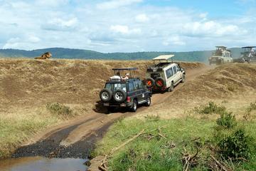 East Africa Highlights