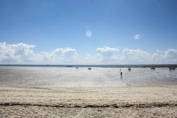 Kenya Bush and Beach Safari