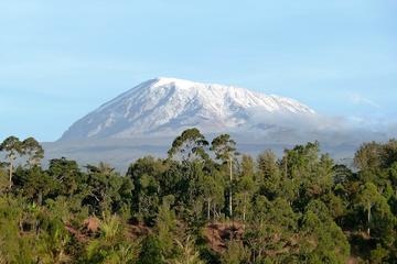 Mount Kilimanjaro Climb- Machame Route 7 Days
