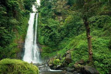 2-days tour nature and north side of Bali