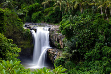Bali Shore Excursions : Best Nature and Art in Bali