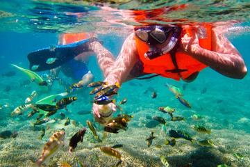 Bali Snorkeling Tour At Blue Lagoon All-inclusive