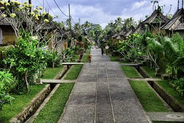 Full-day tour: Bali Traditional Tours
