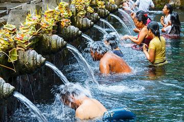 Private Tour : Bali Ubud Cultural with Best Driver Full-day Tour
