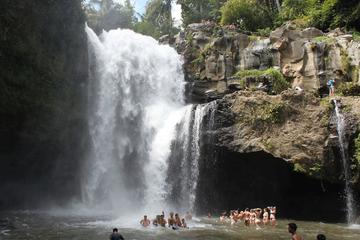 Private Tour: Tegenungan Waterfall in Ubud Full-Day Tour