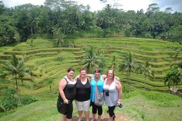 Private Tour: Ubud Day Tours with Best Driver Full-Day