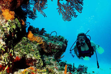 Cancun 2-Tank Reef or Wreck Dive
