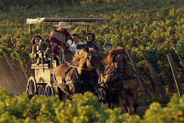 Colchagua Wine Route Tour from Santiago
