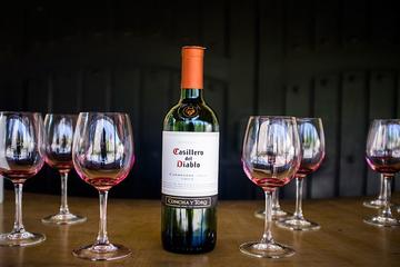 Concha y Toro Marques Wine Tour from Santiago