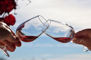 Concha y Toro Traditional Wine Tour from Santiago
