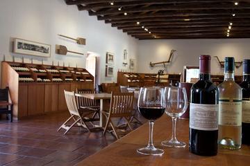 Santa Rita Winery Tour from Santiago
