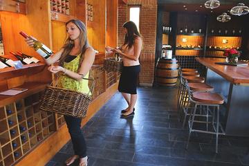 Valparaiso and Emiliana Vineyard Tour from Santiago