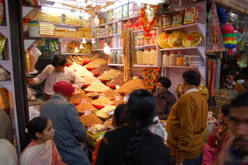 Private Full day Visit of New Delhi