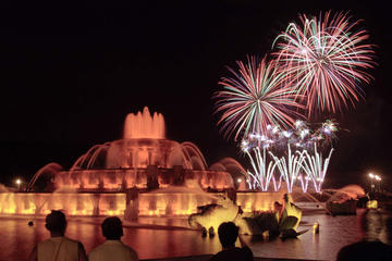 Chicago Fireworks Viewing by Segway