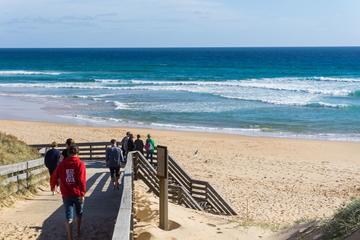 From Melbourne: Best Day Ever on Phillip Island Small Group Tour