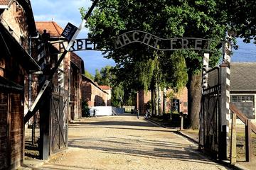 Auschwitz-Birkenau guided shared tour from Krakow