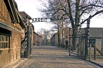 Full-Day Tour of Auschwitz and Wieliczka Salt Mine from Krakow