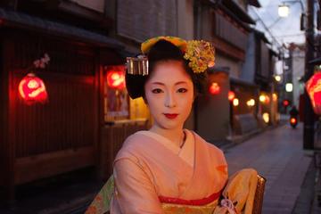 Kyoto, City of Culture Private Afternoon Tour Including Entry to Tofukiji