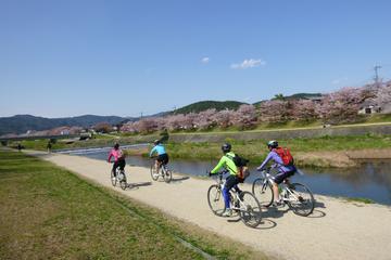 Kyoto Small-Group Bike Tour
