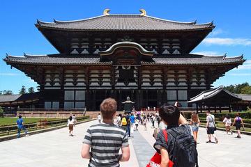 The Essence of Nara Cultural Tour: Big Buddha, Bambi and Backstreets