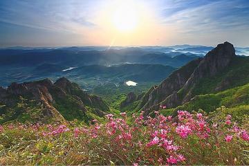Full-Day Mount Wolchulsan National Park Hiking Trip