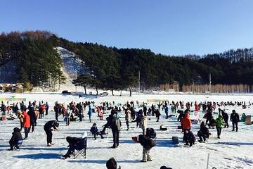 Strawberry Picking experience & Ice Fishing at Pyeongchang from Seoul