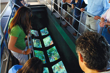 Day Trip Key West Glass-Bottom Boat Tour with Sunset Option near Key West, Florida 