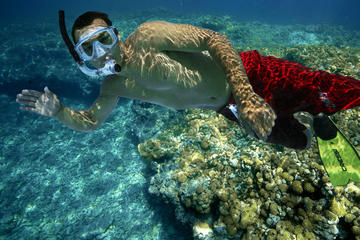 Snorkel and Sunset Sail: Rum n' Reggae