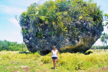 Nukualofa Shore Excursion: Private Full-Day Flexible Tonga Mainland Tour